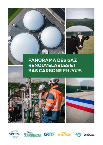 Panorama des gaz renouvelables et bas carbone en 2025